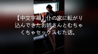 【中文字幕】仆の家に転がり込んできたお姉さんとむちゃくちゃセックスした话。