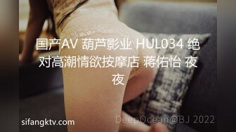 国产AV 葫芦影业 HUL034 绝对高潮情欲按摩店 蒋佑怡 夜夜