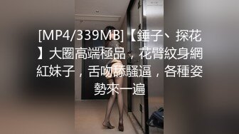 [MP4/339MB]【錘子丶探花】大圈高端極品，花臂紋身網紅妹子，舌吻舔騷逼，各種姿勢來一遍