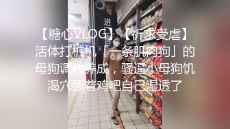 【糖心VLOG】【祈求受虐】活体打桩机「一条肌肉狗」的母狗调教养成，骚逼小母狗饥渴穴舔着鸡吧自己湿透了