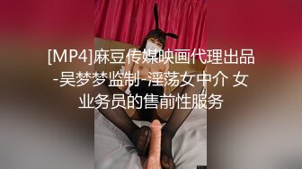 [MP4]麻豆传媒映画代理出品-吴梦梦监制-淫荡女中介 女业务员的售前性服务