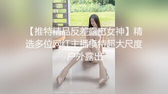 【推特精品反差露出女神】精选多位网红主播模特超大尺度 户外露出