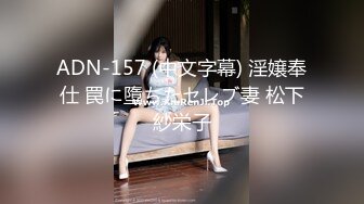 ADN-157 (中文字幕) 淫嬢奉仕 罠に墮ちたセレブ妻 松下紗栄子