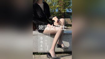 嫩胸女骑士