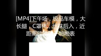 [MP4]下午场，极品车模，大长腿，C罩杯，丝袜后入，近距离欣赏妹子啪啪表