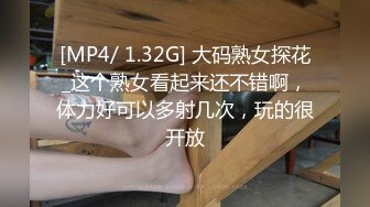 [MP4/ 1.32G] 大码熟女探花_这个熟女看起来还不错啊，体力好可以多射几次，玩的很开放