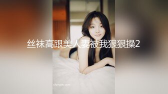 丝袜高跟美人妻被我狠狠操2