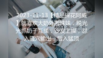 2023-11-13【精品探花阿威】就喜欢大奶外围妹妹，脱光光抓奶子互揉，沙发上操，怼入骚穴输出，后入猛顶