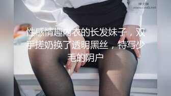 性感情趣内衣的长发妹子，双手搓奶换了透明黑丝，特写少毛的阴户