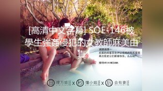 [高清中文字幕] SOE-146被學生強姦侵犯的女教師麻美由真