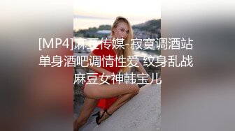 [MP4]麻豆传媒-寂寞调酒站 单身酒吧调情性爱 纹身乱战 麻豆女神韩宝儿