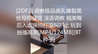 [2DF2] 调教极品美乳爆裂黑丝母狗骚货 淫语调教 翘美臀后入虐操抽打浪叫不止 玩到抽搐高潮[MP4/124MB][BT种子]