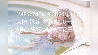 [MP4/240MB]2024年11月大神【粉红君】3000一炮，大圈学生妹，极品校花主动舌吻